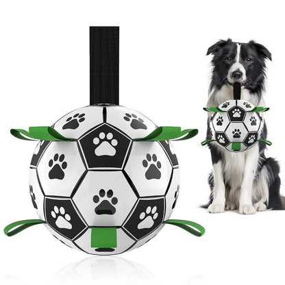 PawKick™ Ball