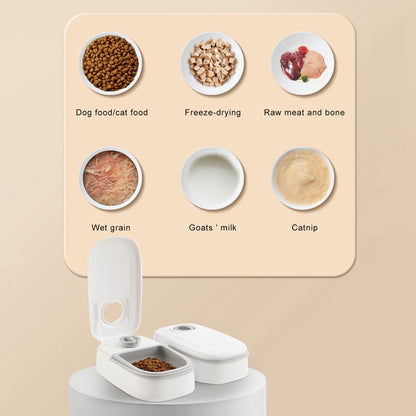 SmartFeeder: Automatic Cat & Dog Feeder with Timer